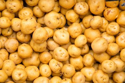 Up 700% and Now Down 90%, the Iran War Made Potato Prices More Volatile Than Penny Stocks